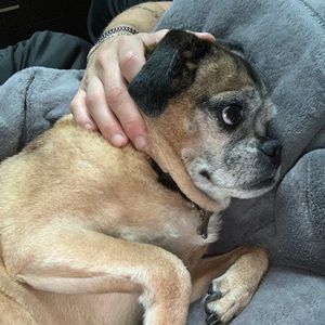 Meet your Posher, Brandon